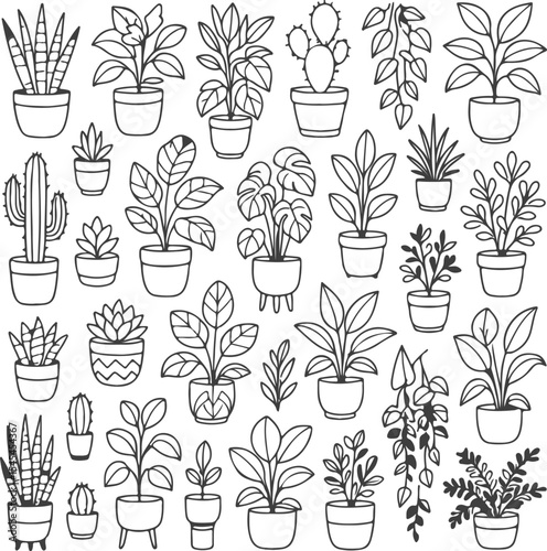 Collection of Hand Drawn Potted Plants Featuring a Variety of Indoor Plants and Cacti in Different Planters