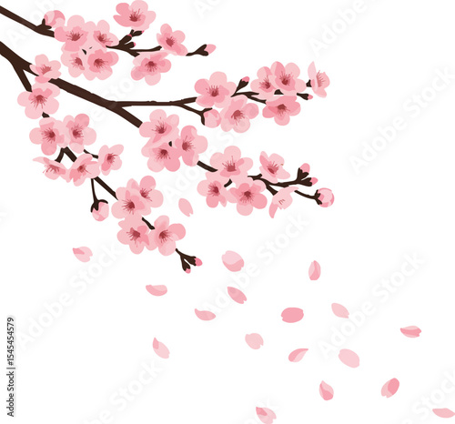 Blooming Cherry Blossom Branch with Petals Falling A Delicate and Beautiful Display of Nature's Ephemeral Beauty