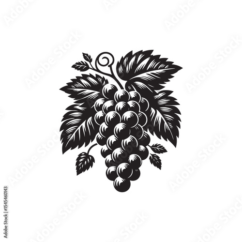 Grape Vector (4).eps