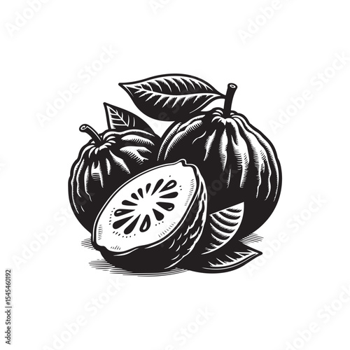 Guava Vector (1).eps