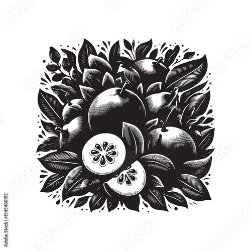 Guava Vector (2).eps