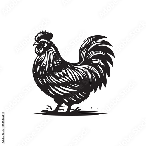 Hen Vector (1).eps
