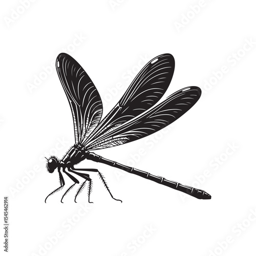Damselfly Vector (1).eps