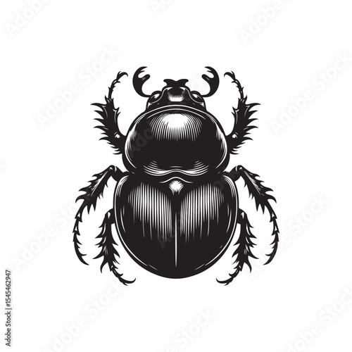 Dung Beetle Vector (3).eps