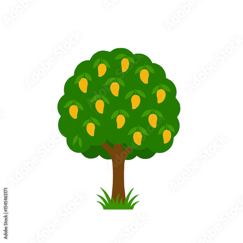 vector illustration of a mango tree