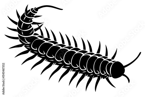 vector illustration of a caterpillar