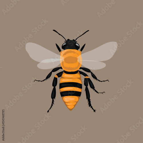 detailed vector art of Bee