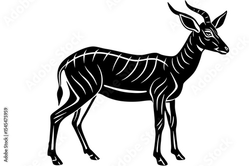 vector illustration of a zebra