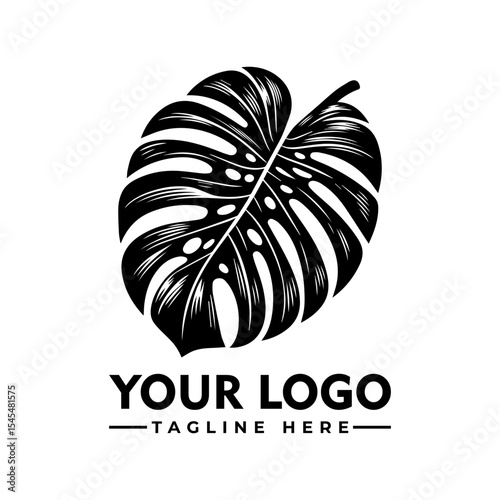 A detailed black and white illustration of a monstera leaf, perfect for logo design.