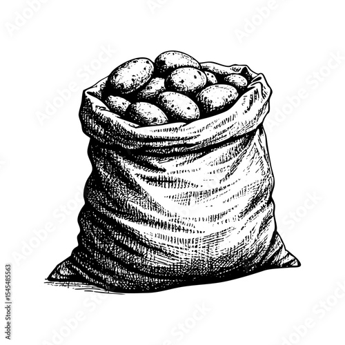 sack of potatoes engraving black and white outline. Scratch board imitation.