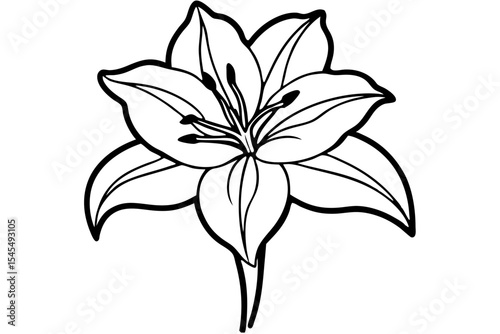 Pink lily flower isolated on white background, a beautiful floral vector illustration for spring and summer nature design