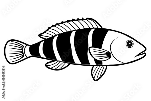 Aquatic animal life cartoon vector illustration of tropical fish swimming in an isolated ocean aquarium