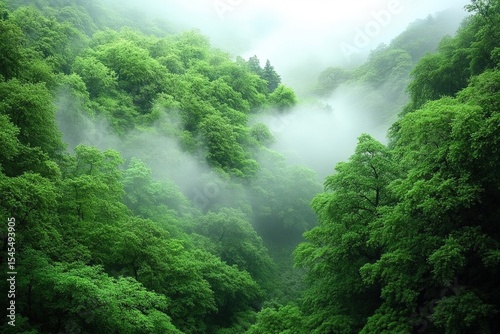Misty Mountain Valley With Lush Green Trees