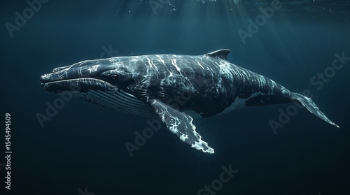 3D illustration of a majestic whale, known as a ballena, emerging from the dark blue ocean water, with sunlight casting a warm glow on its gray and white skin