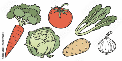 Fresh vegetables illustration featuring carrot tomato cabbage potato onion and leafy greens artwork