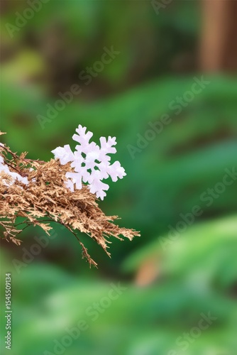 Delicate White Snowflake on Brown Branch Against Green Background