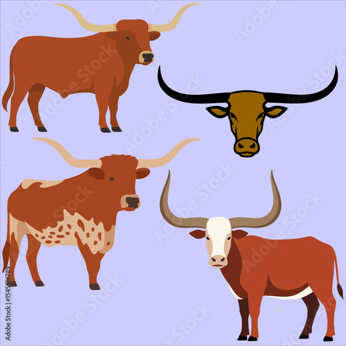 Texas longhorn logo vector.eps