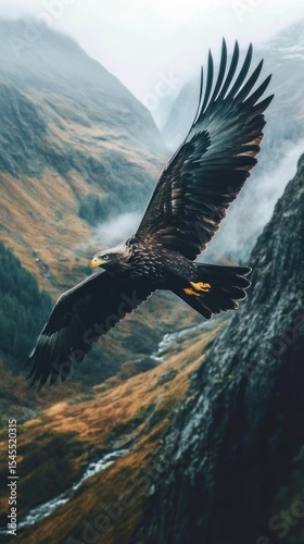 Golden eagle soars over mist-shrouded mountains with majestic wings