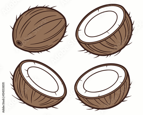 Vector illustration of whole coconut and coconut halves isolated on white background. coconut, coconuts, fruit, tropical, food, healthy.