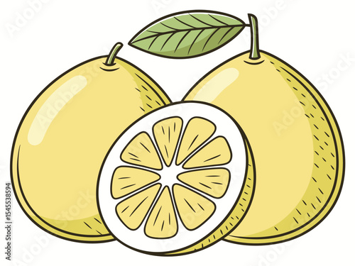 Colorful hand drawn illustration of fresh lemons with leaves and a sliced segment on white background. lemon, lemons, citrus, fruit, food, healthy.