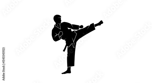 Silhouette of a Martial Artist Executing a High Kick in Dynamic Pose and Balance Isolated on White Background