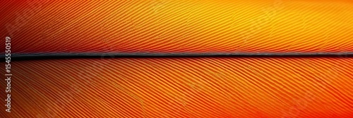 Close up of a phoenix feather pattern with vibrant orange and gold colors creating a unique texture background.