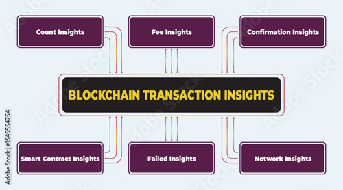Blockchain Transaction Insights Diagram Showing Different Types of Analysis