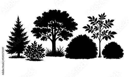 Black Silhouettes of Trees Shrubs and Coniferous Evergreen in a Garden Setting bushes