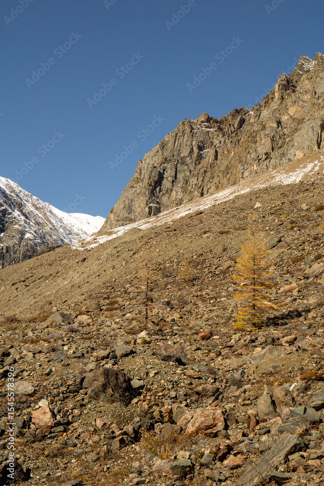 Fototapeta premium Rocky mountain landscape featuring rugged terrain, scattered boulders, and sparse vegetation under a clear blue sky, showcasing the beauty of nature's wilderness and tranquility