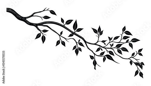 A detailed branch with leaves illustration. Perfect for nature designs, botanical themes, and decorative elements. Isolated on white background.