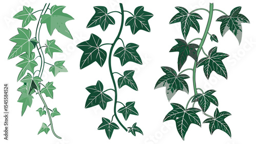 Wallpaper Mural green leaves isolated on white background Torontodigital.ca