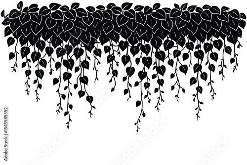 A hanging vines illustration. Ideal for nature, garden, and decoration themes. Black and white line art on a clean background.