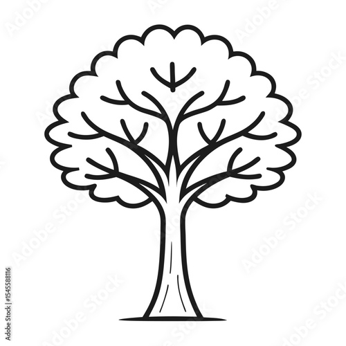 american ash line art vector on-white-background