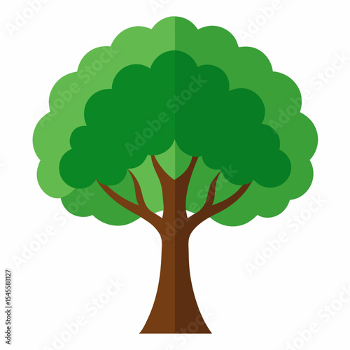 american ash on white background