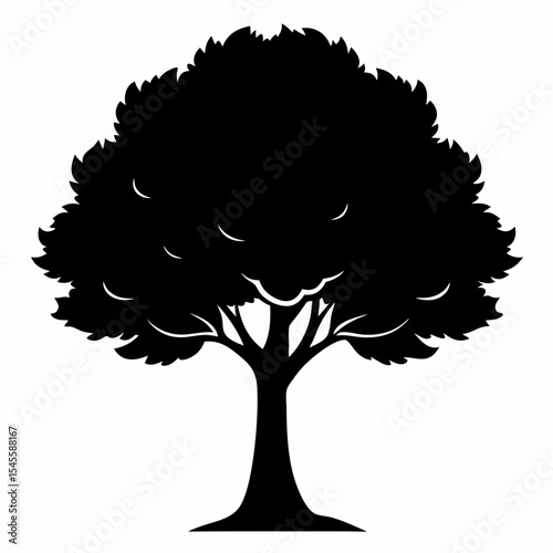 american ash silhouette on white background
