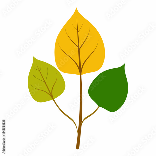aspen flower  vector illustration on white background