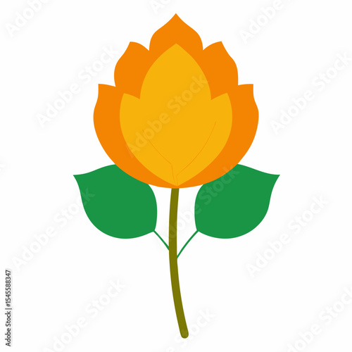 aspen flower isolated on-white--background