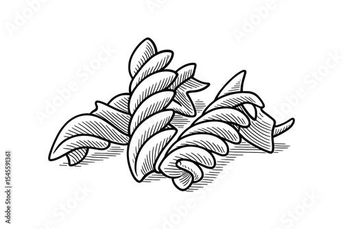Fusilli pasta vector illustration in engraved style. Food drawing art for culinary designs and menu illustrations.
