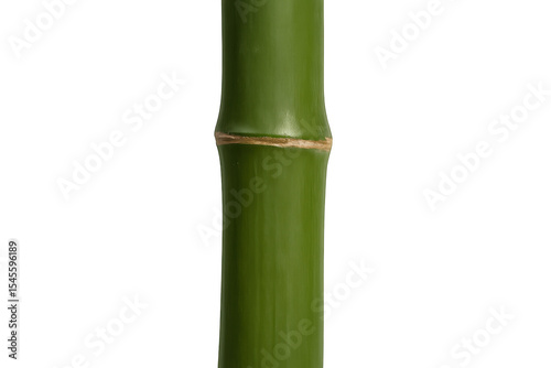 Close-up of a vibrant green bamboo stalk showcasing its natural texture and growth rings, isolated on a transparent background