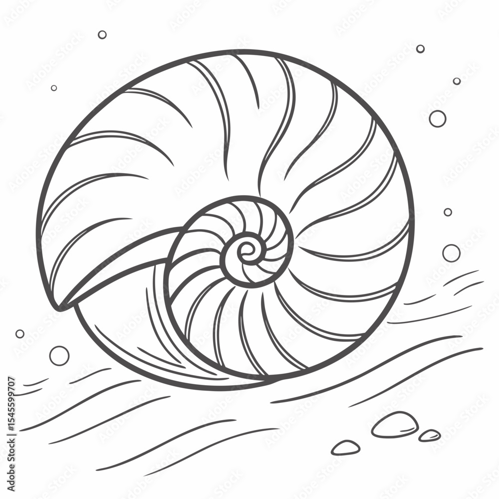 Obraz premium Nautilis shell illustration clean cutout design element