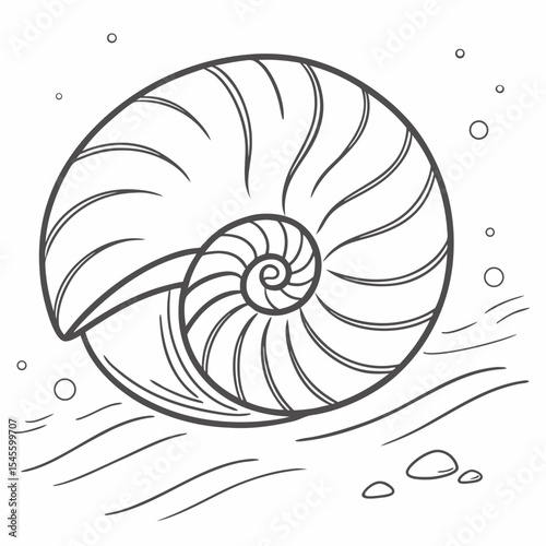Nautilis shell illustration clean cutout design element