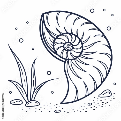 Nautilis shell ocean life sea creature illustration