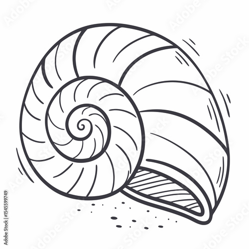 Nautical seashell spiral hand drawn illustration