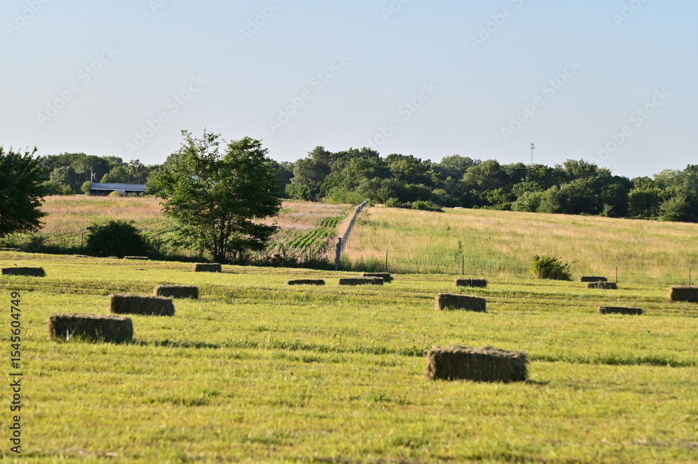 Obraz premium Hay Bales
