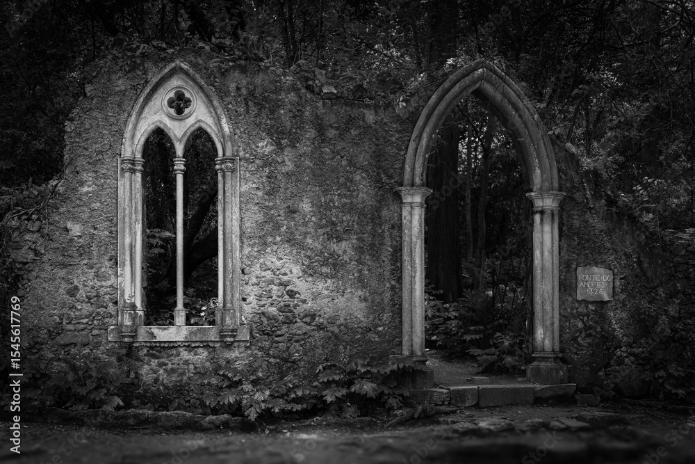 Fototapeta premium Black and white photography of gothic ruins abandoned church stone arch medieval window forest overgrown moody fine art print haunted architecture historical decay romantic mystery lost chapel