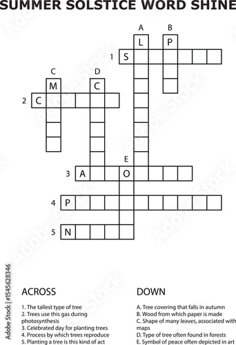 Summer Solstice Crossword Puzzle Grid Word Game Activity vector