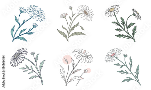Beautifully illustrated bundle of 6 flowers daisy floral nature isolated design