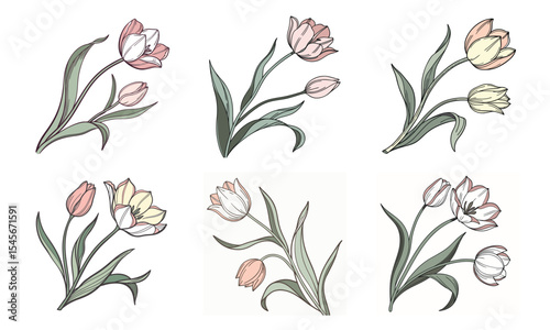 A delicate bundle of six floral tulip illustrations with hand drawn artistic style
