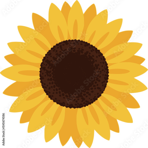 Illustration of a sunflower