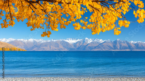 Lake Pukaki View with Autumn Tree and Snow Capped Mountains